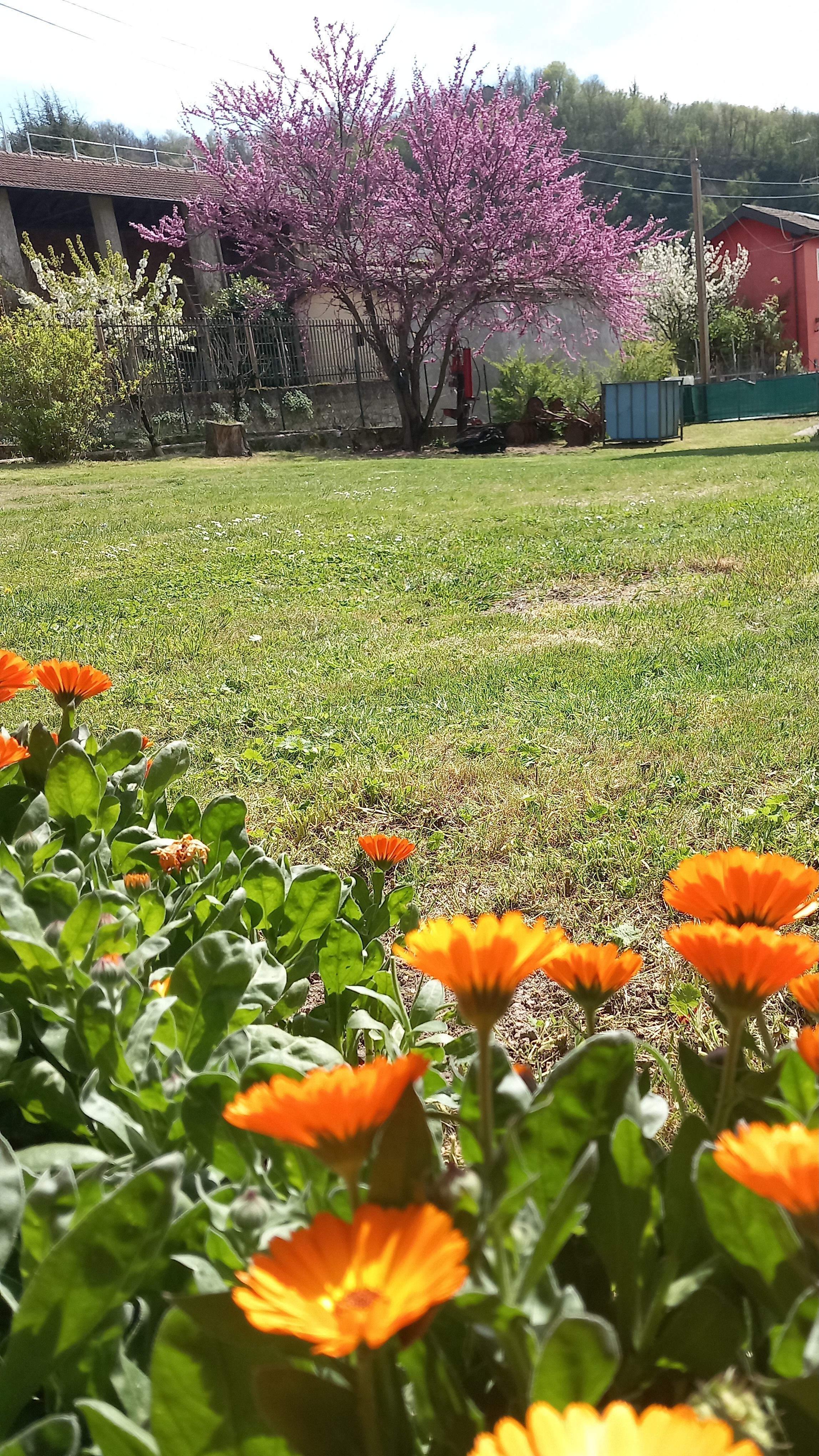 Piazzole in giardino recintato alta collina di Tortona a 20 km dal casello autostradale su A7.