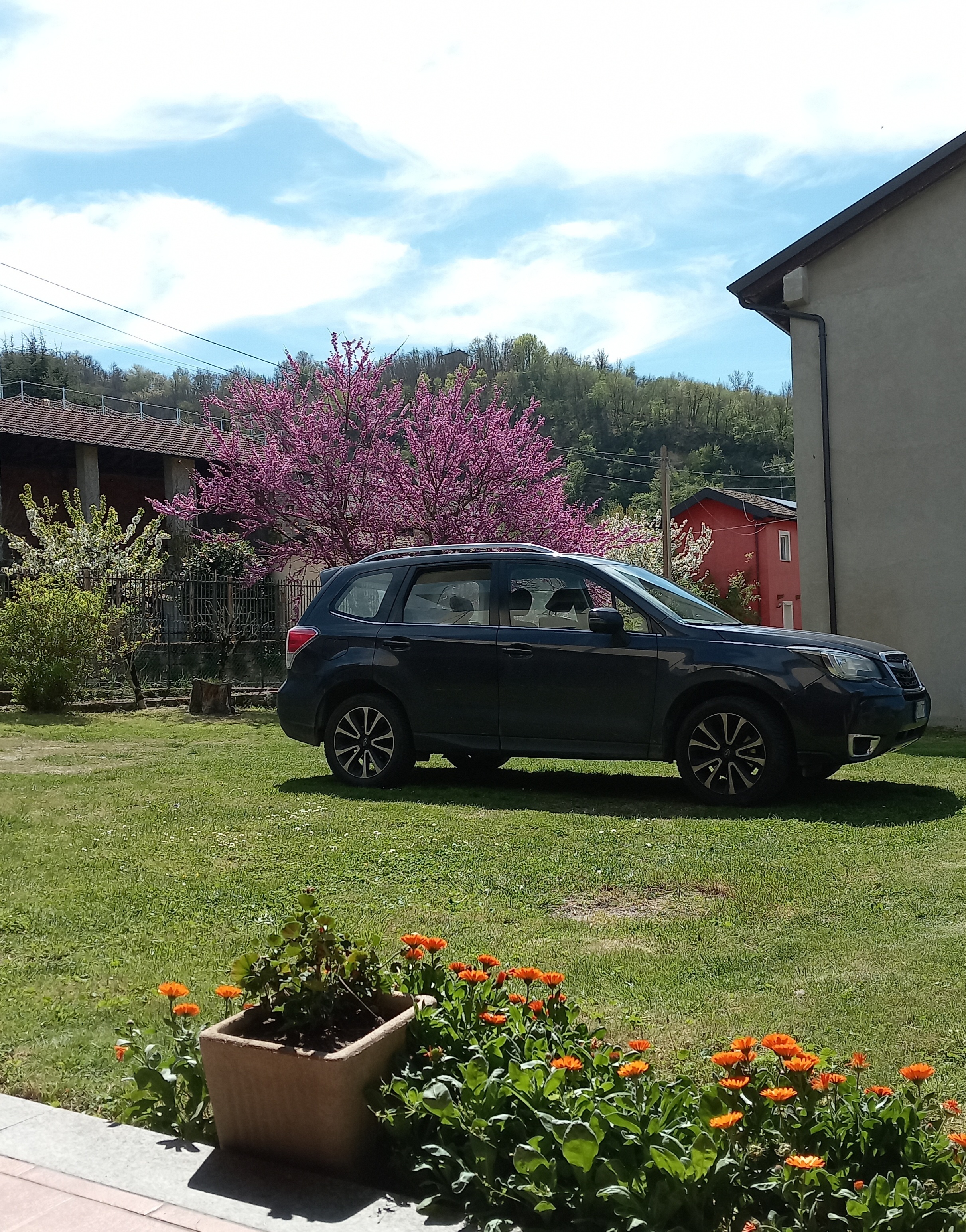 Piazzole in giardino recintato alta collina di Tortona a 20 km dal casello autostradale su A7.