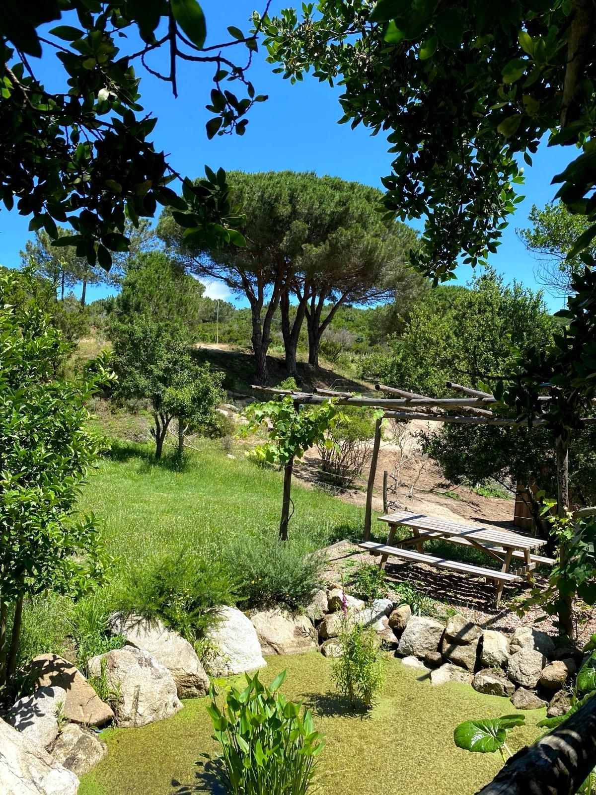 Piazzole tende in fattoria sull'Isola d'Elba