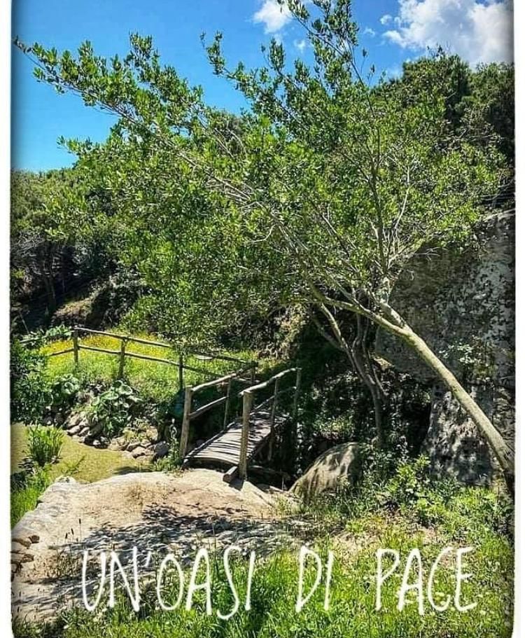 Piazzole tende in fattoria sull'Isola d'Elba