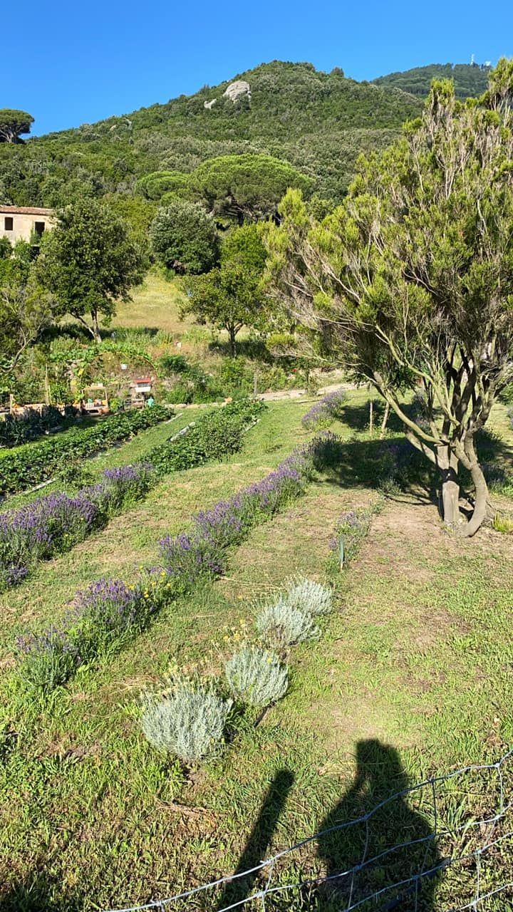 Piazzole tende in fattoria sull'Isola d'Elba