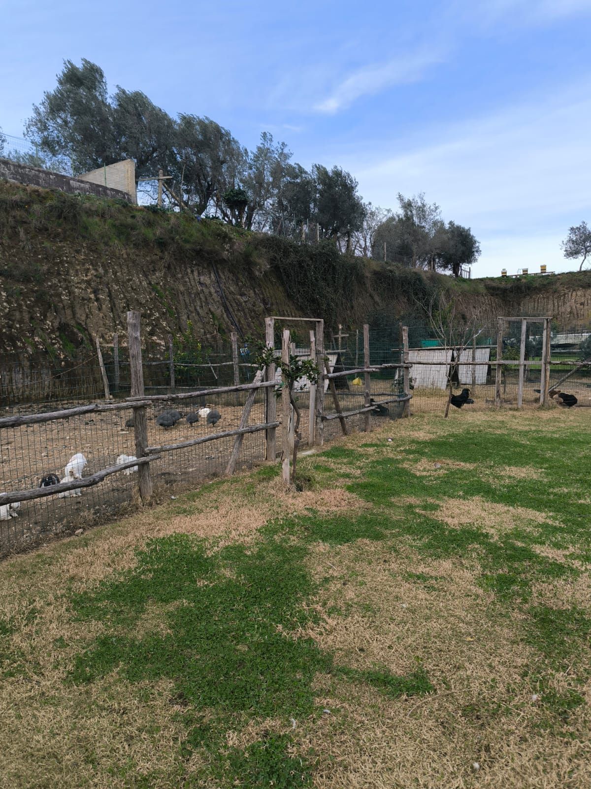 Naturrà - Terra mia a Sant'Angelo in Formis-Capua CE