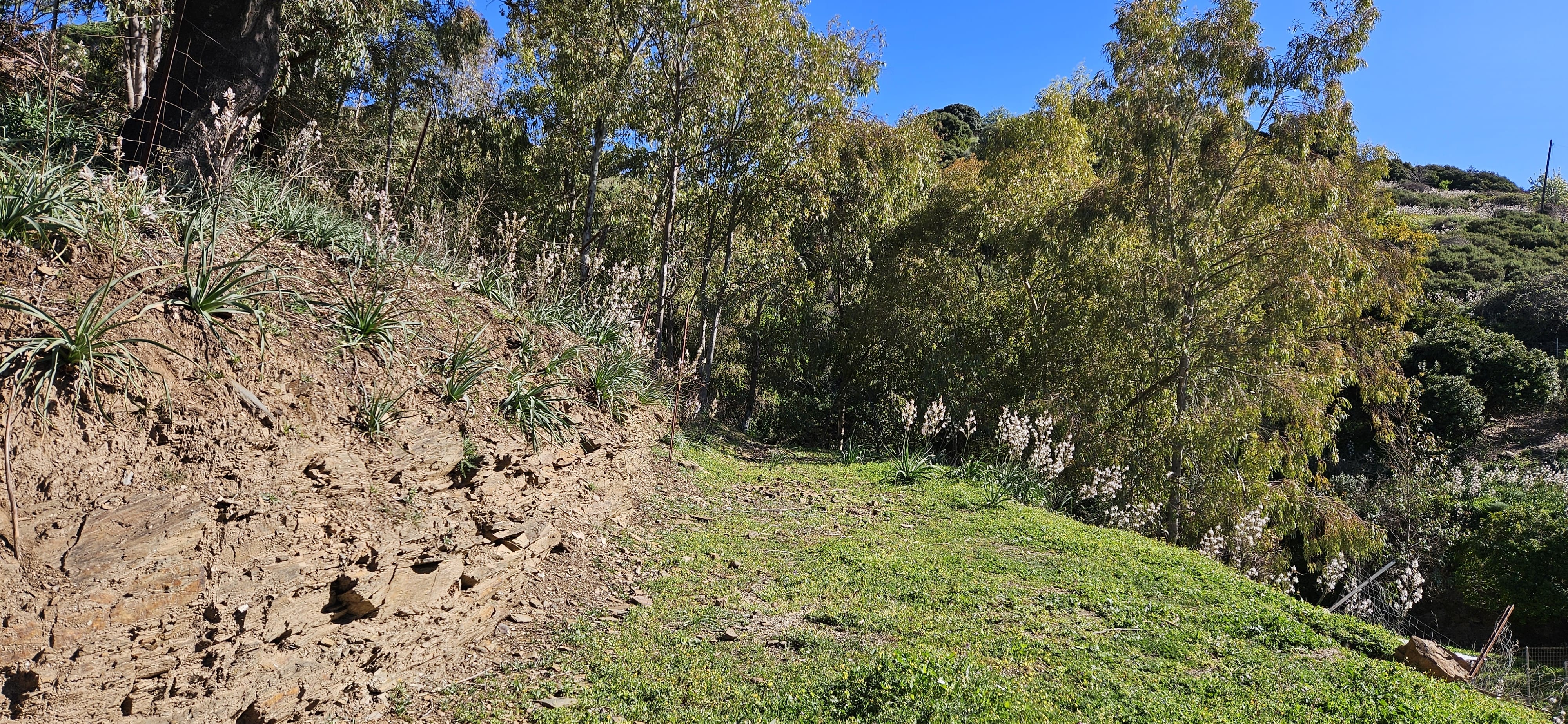 Agricamping Luzana Allevamento Etico