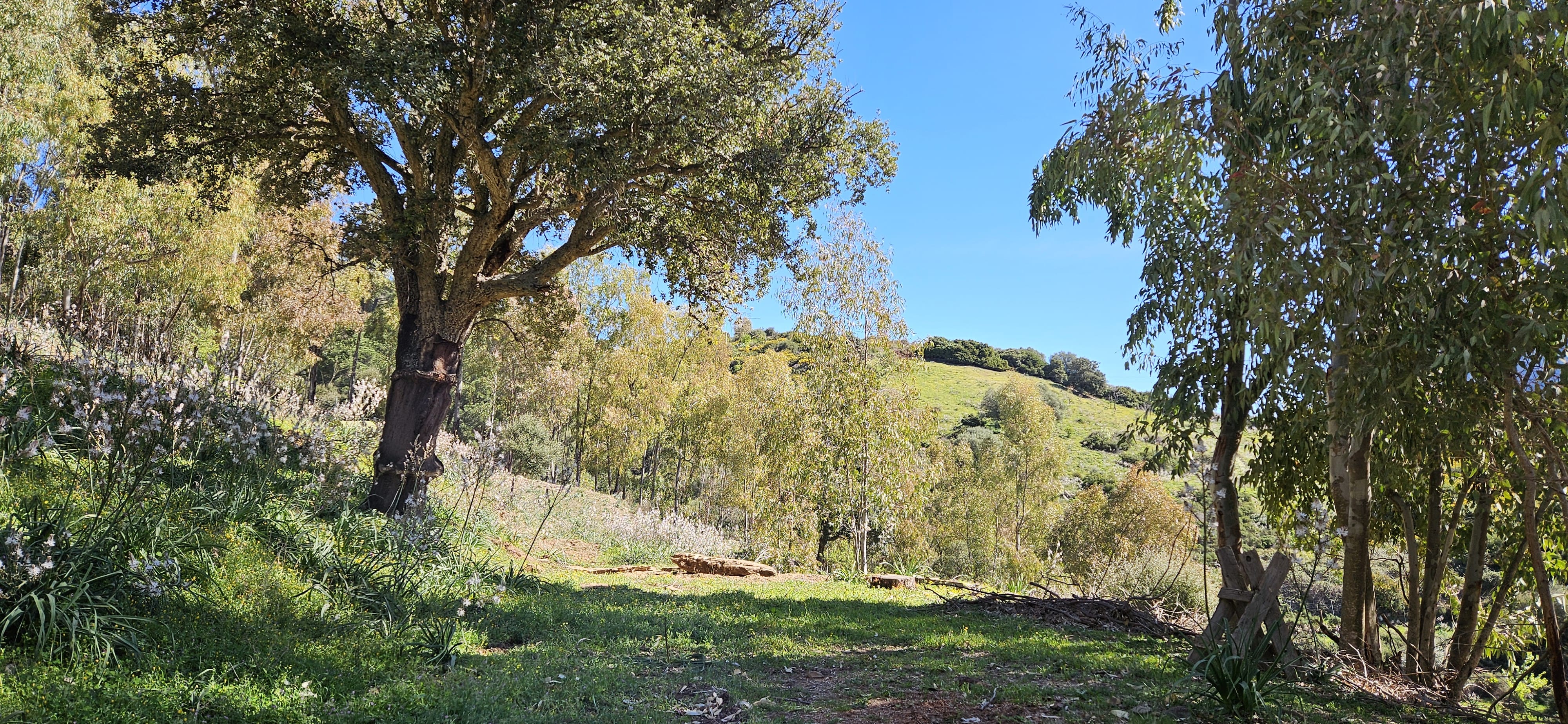 Agricamping Luzana Allevamento Etico