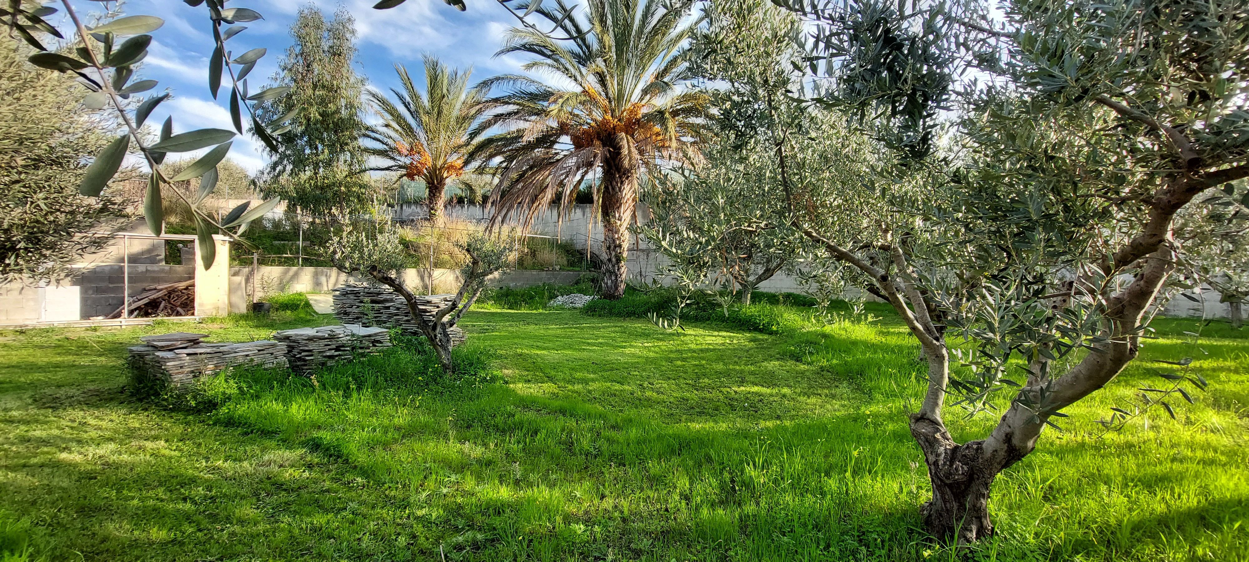 The Garden of TheDreamOfSicily