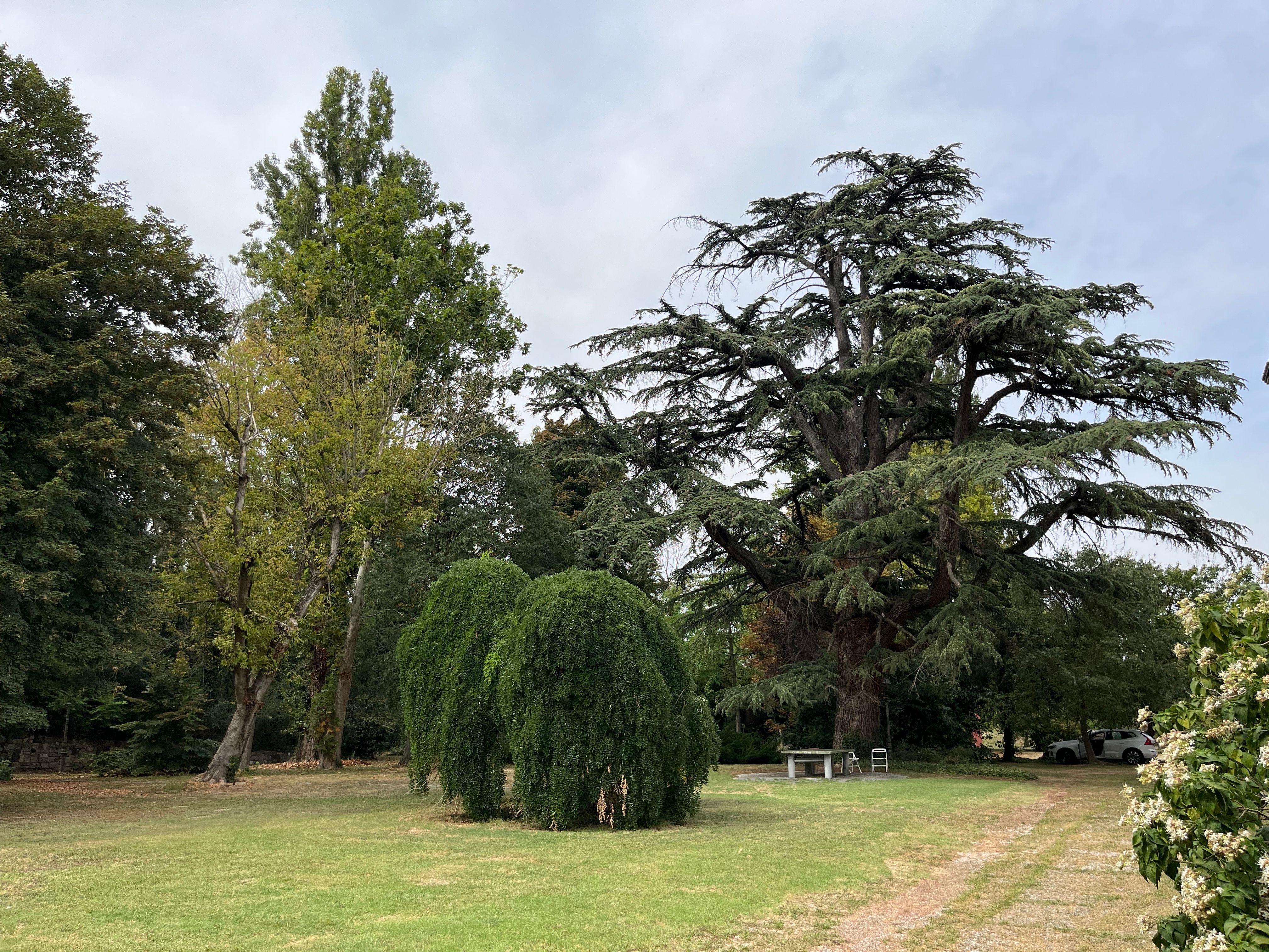 PARCO TENUTA STORICA VILLA SAN MARCO