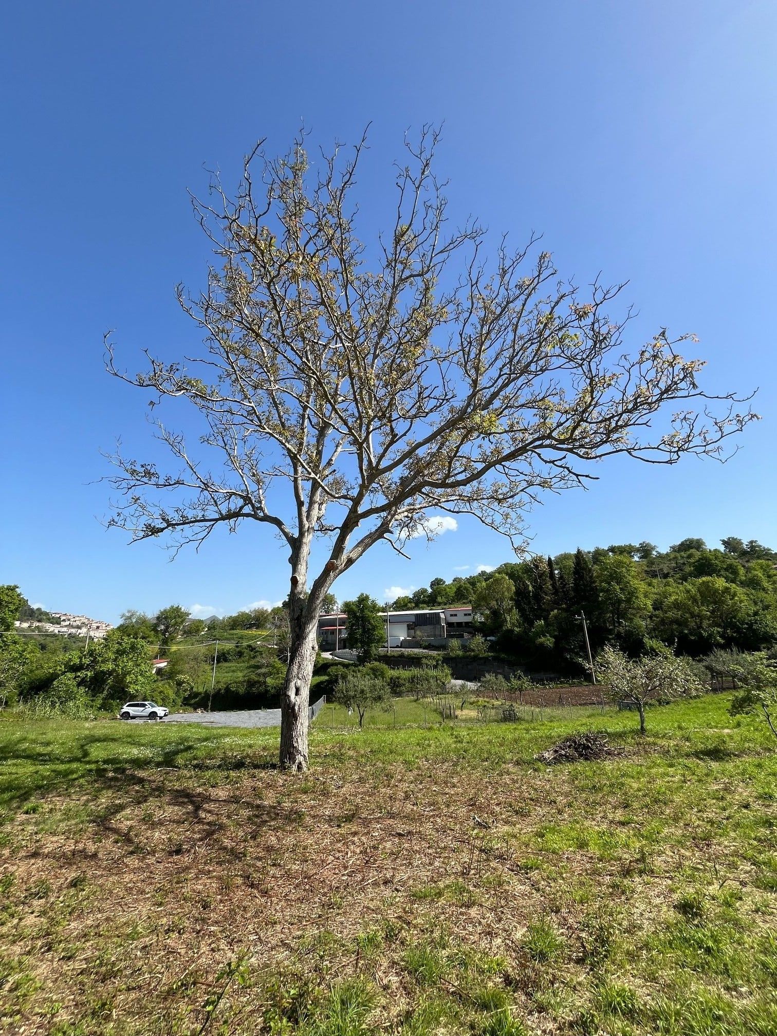 Agricampeggio delle Ciavole di Aieta