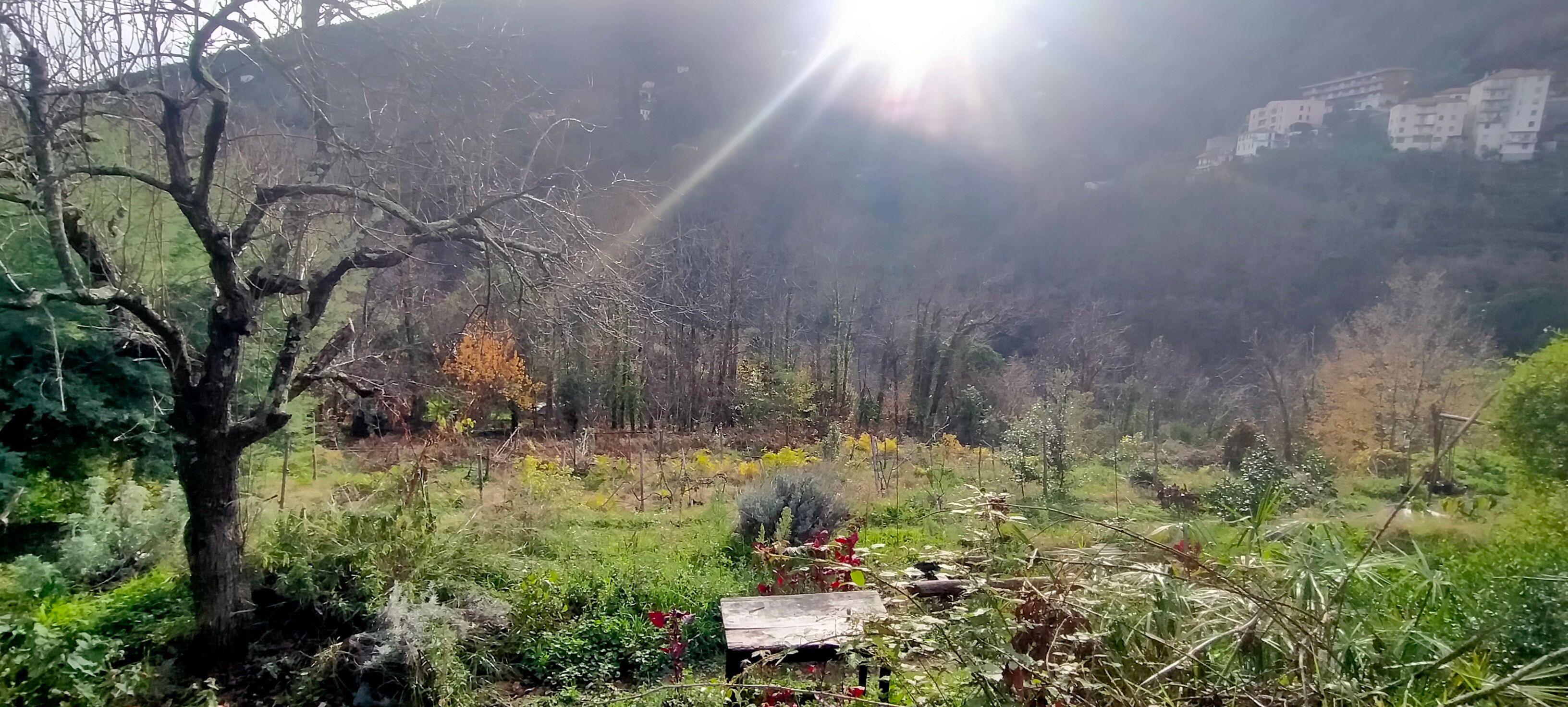 Selvatica - Un' esperienza di vacanza semplice e autentica nella Liguria di Ponente