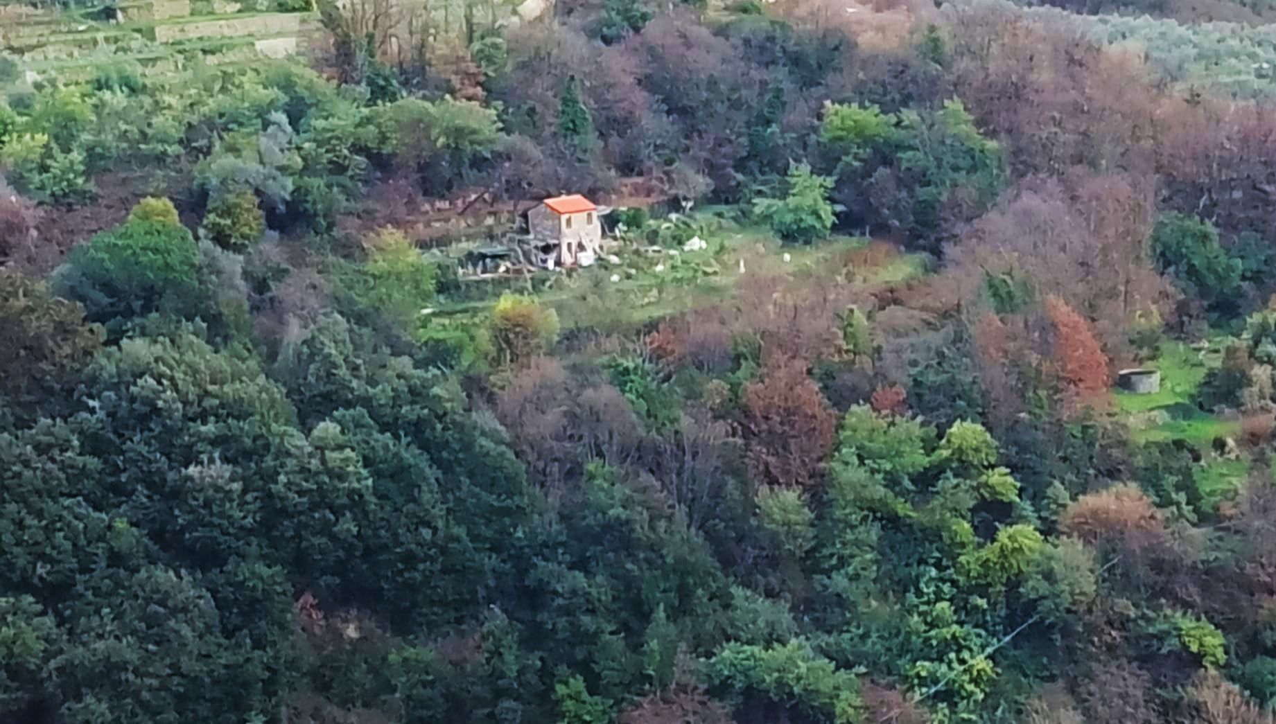 Selvatica - Un' esperienza di vacanza semplice e autentica nella Liguria di Ponente