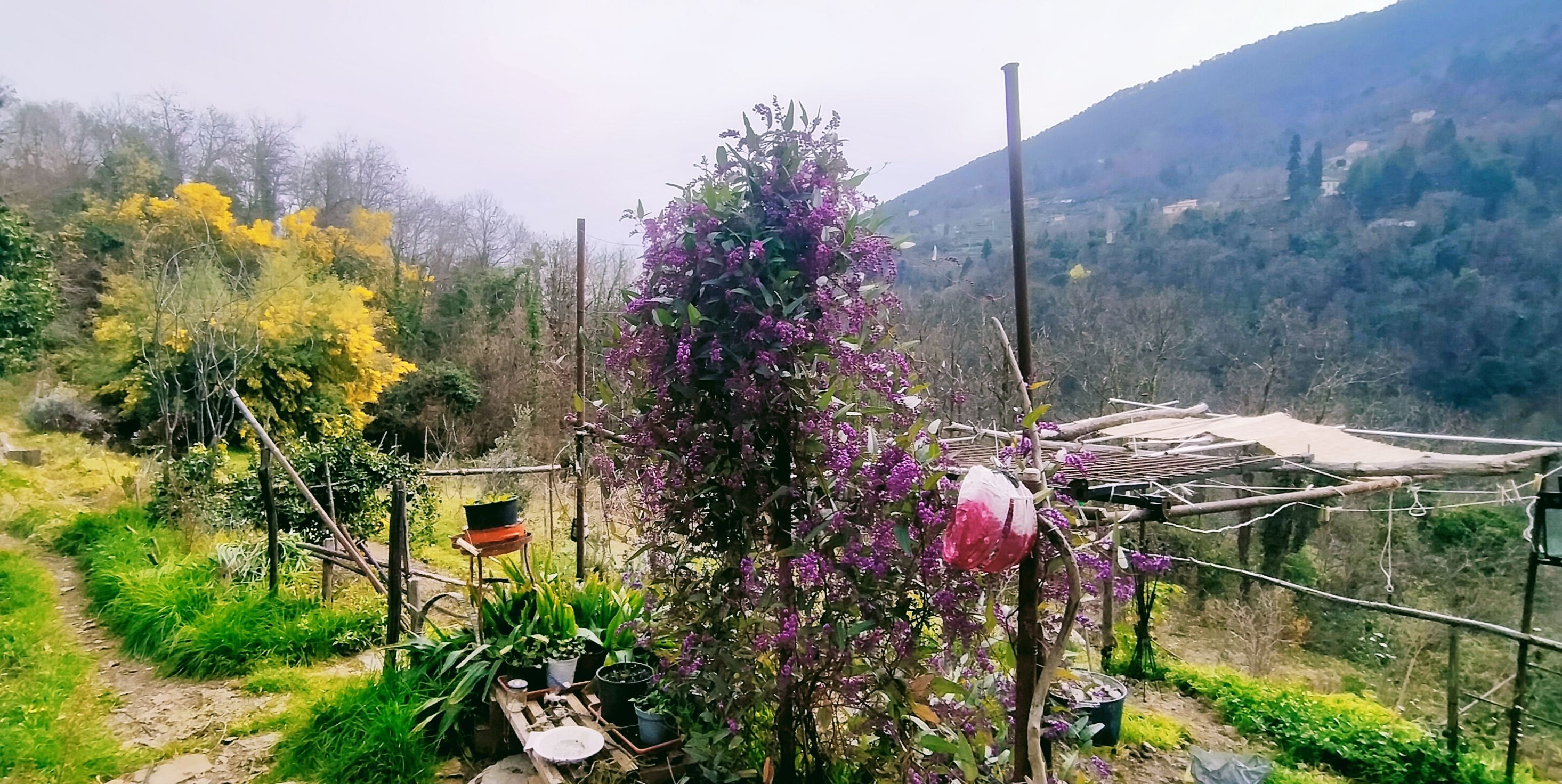 Selvatica - Un' esperienza di vacanza semplice e autentica nella Liguria di Ponente