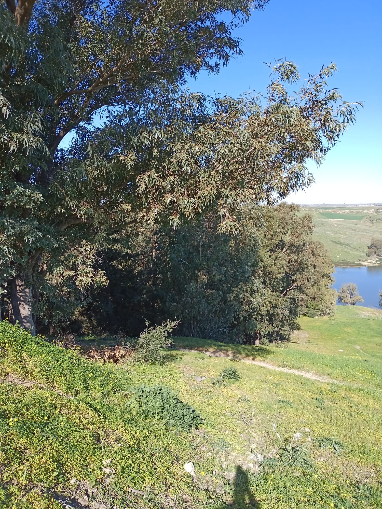 Garden Trinità