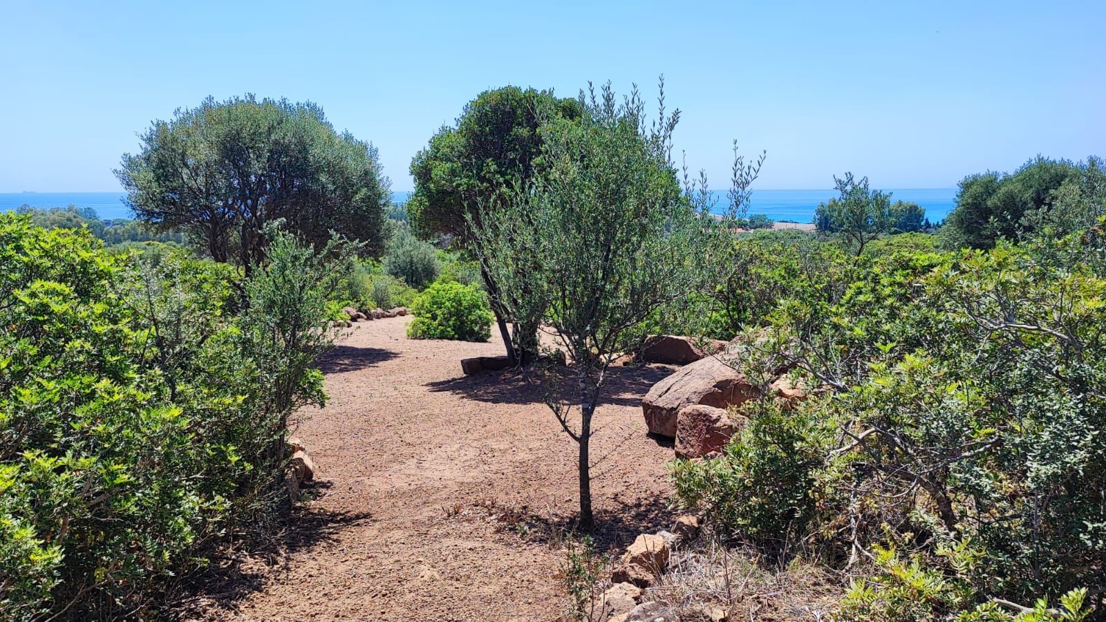 Il paradiso a portata di mano
