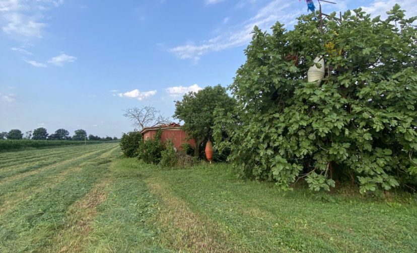 Terreno fronte laguna di Venezia