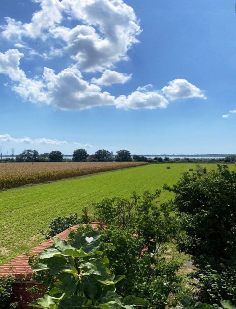 Terreno fronte laguna di Venezia