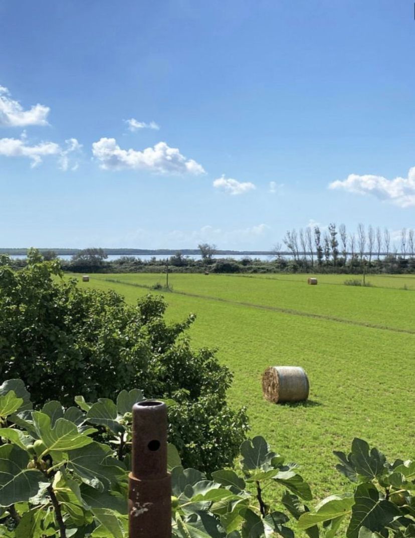 Terreno fronte laguna di Venezia