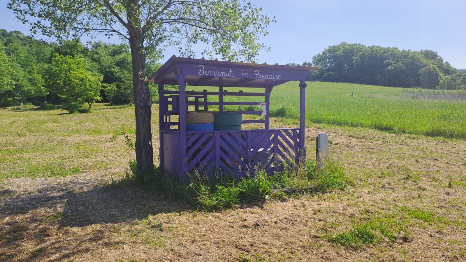 stay (in a tent or camper van) at an area surrounded by nature