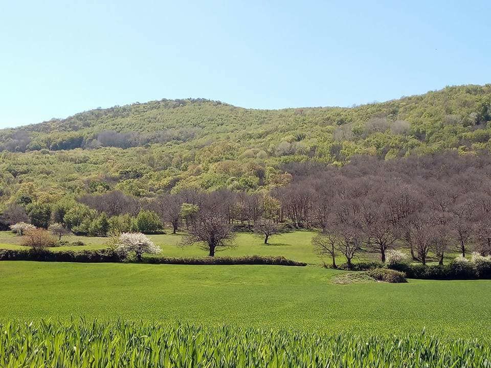 B&B e Ranch nel Parco Nazionale del Gargano