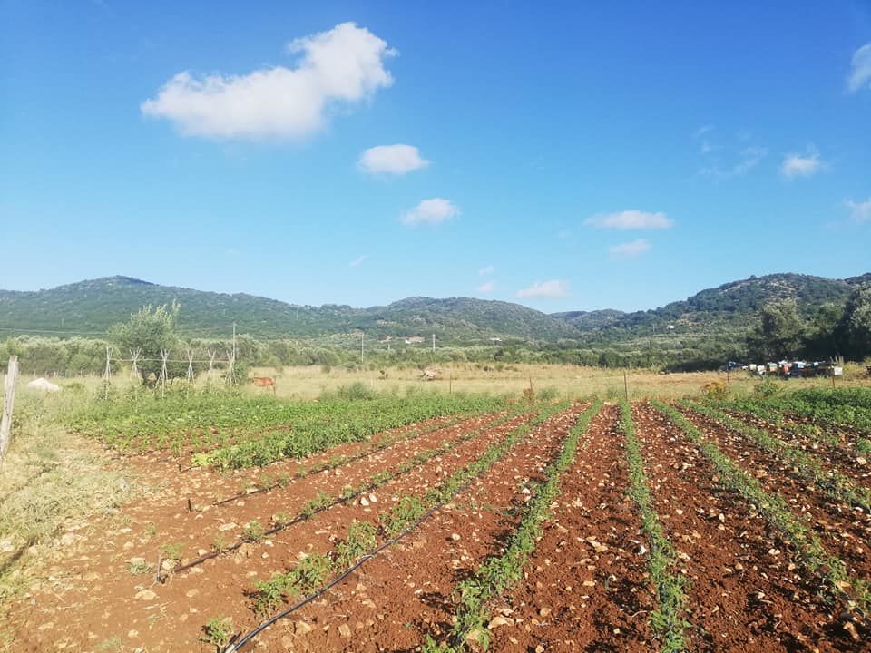 B&B e Ranch nel Parco Nazionale del Gargano