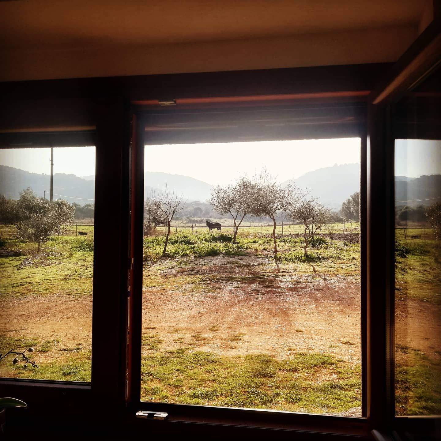 B&B e Ranch nel Parco Nazionale del Gargano