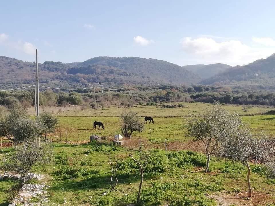 B&B e Ranch nel Parco Nazionale del Gargano