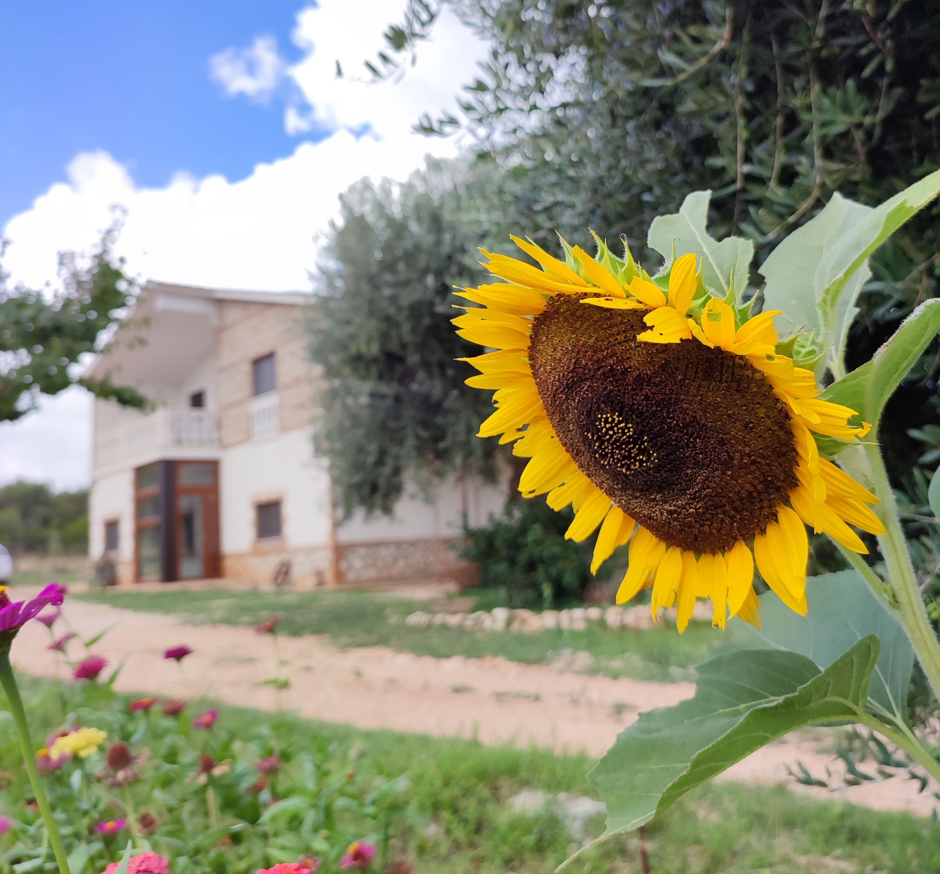 B&B e Ranch nel Parco Nazionale del Gargano