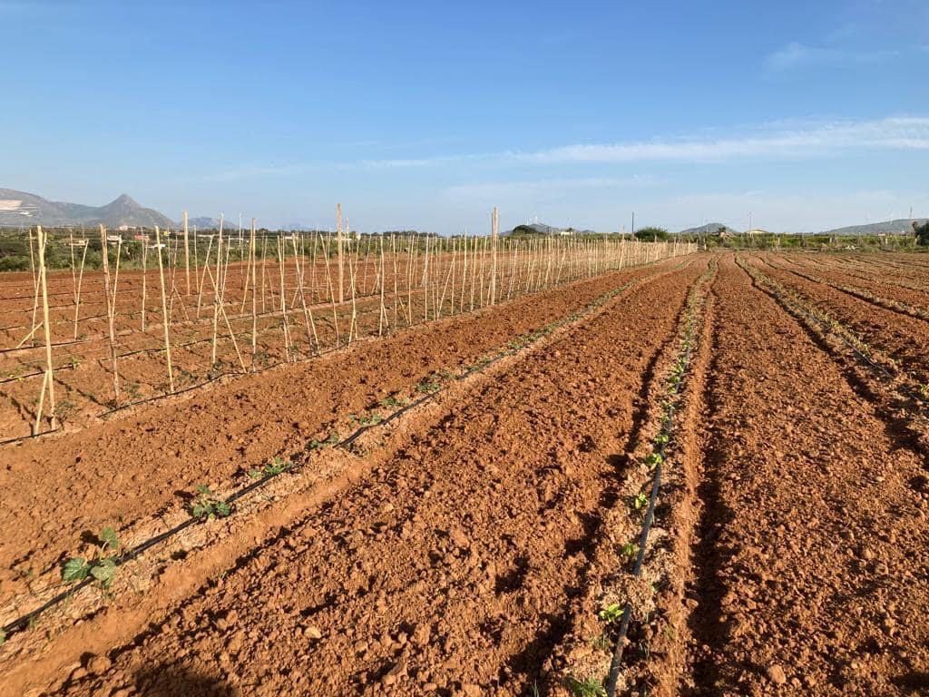 agricamping de terra tibi