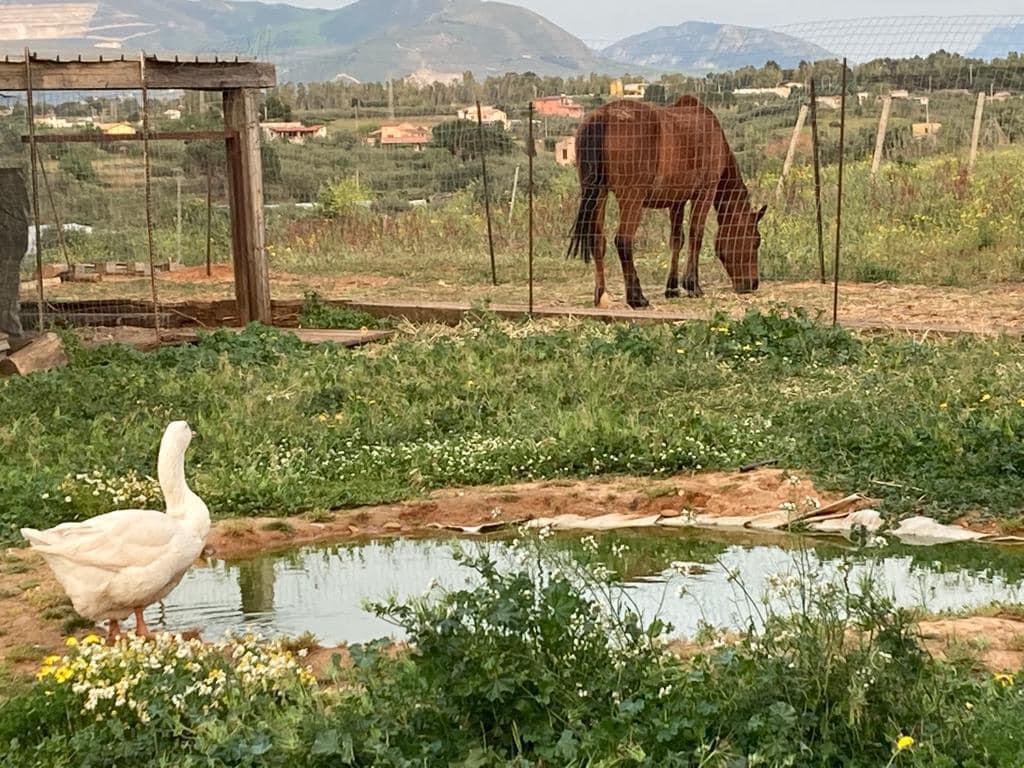 agricamping de terra tibi