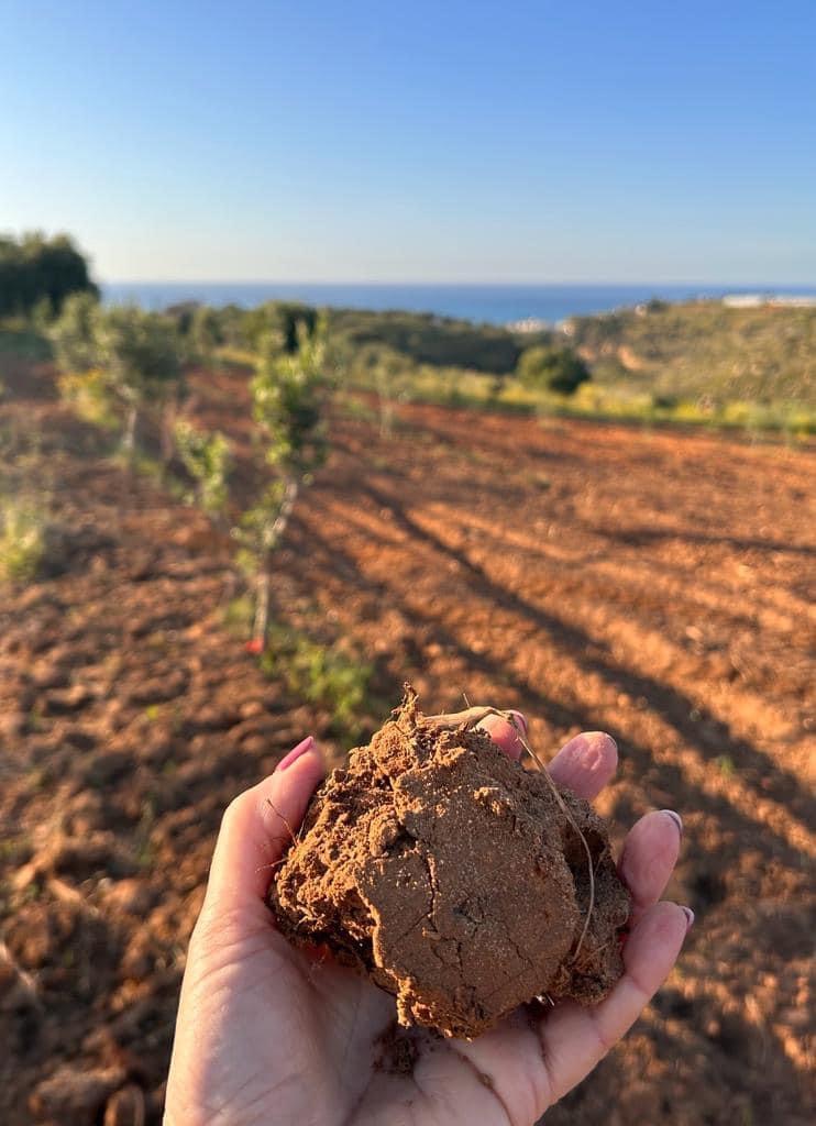 agricamping de terra tibi