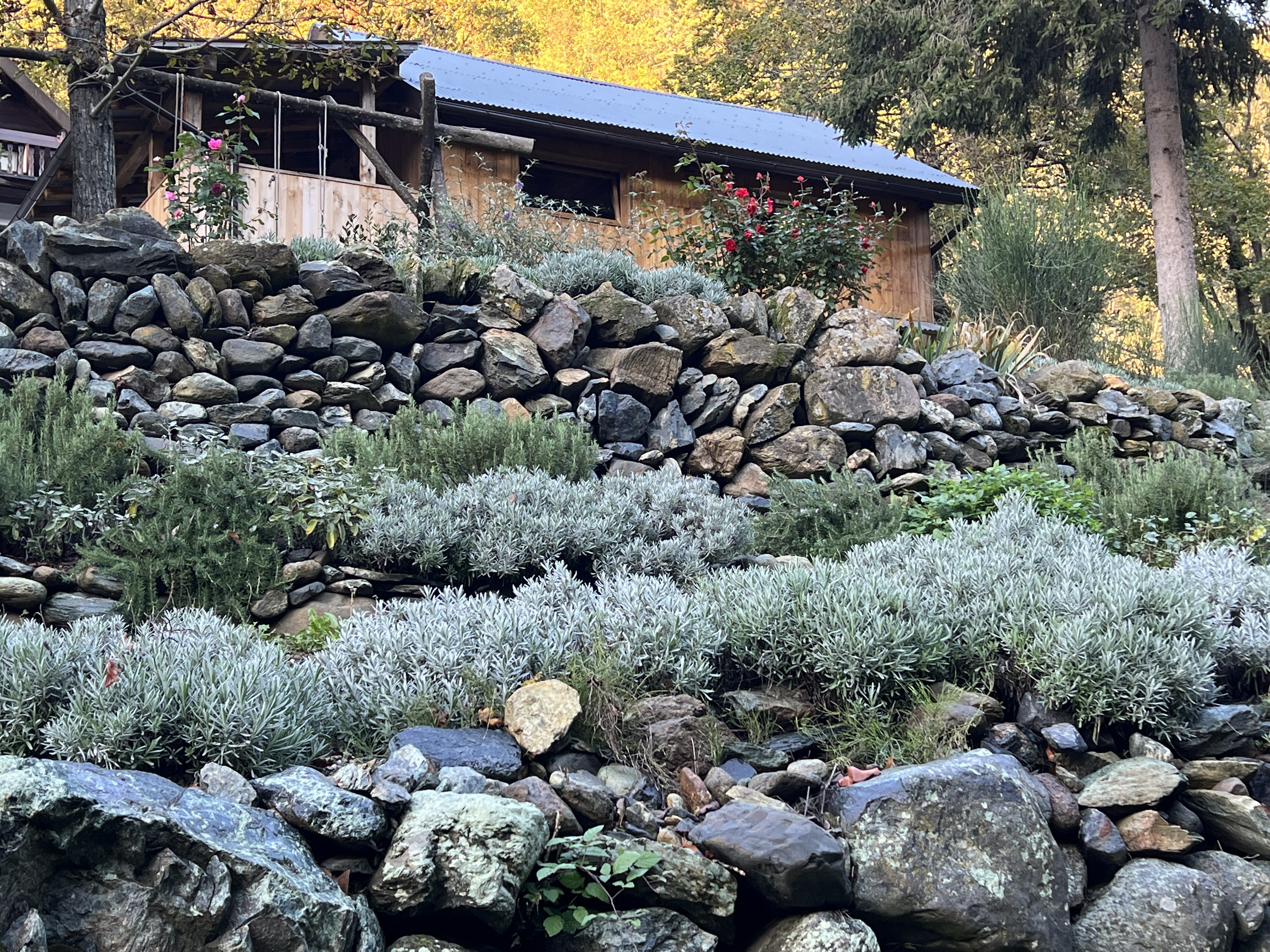 La casa di legno sul fiume  - Loft vacanze e atelier creativo