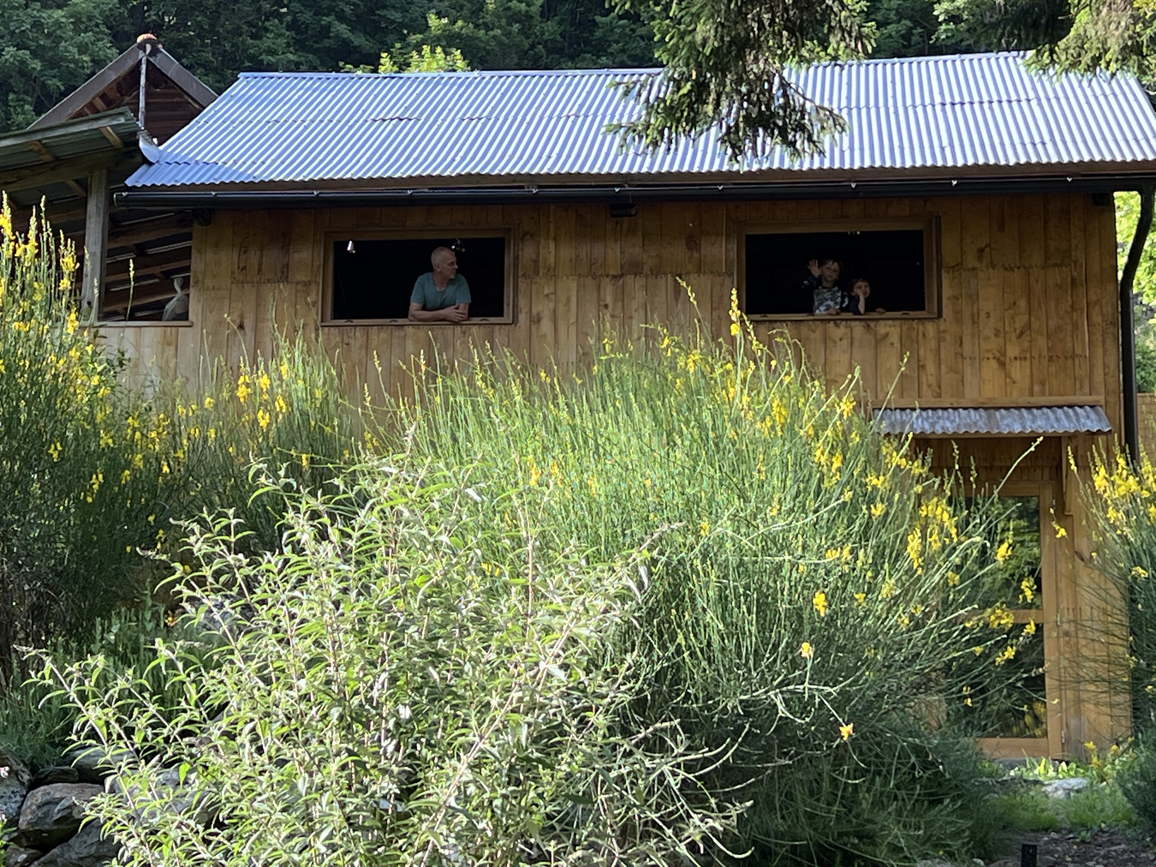 La casa di legno sul fiume  - Loft vacanze e atelier creativo