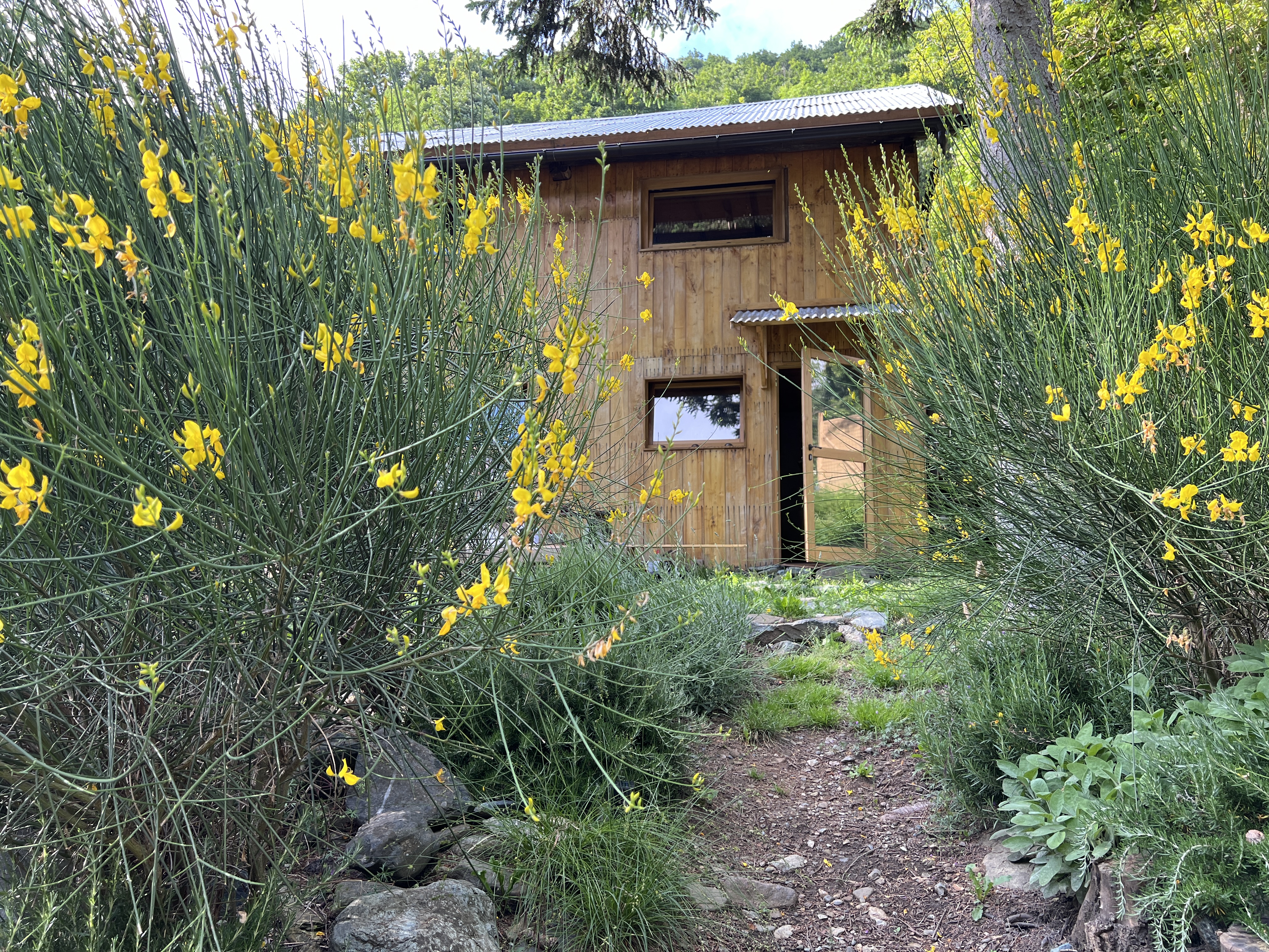 La casa di legno sul fiume  - Loft vacanze e atelier creativo