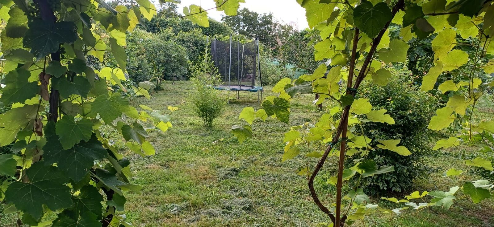 Places pour tentes et voitures à Milan