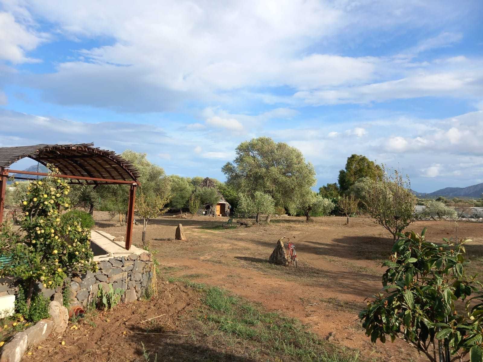 Cosy little country house in Dorgali