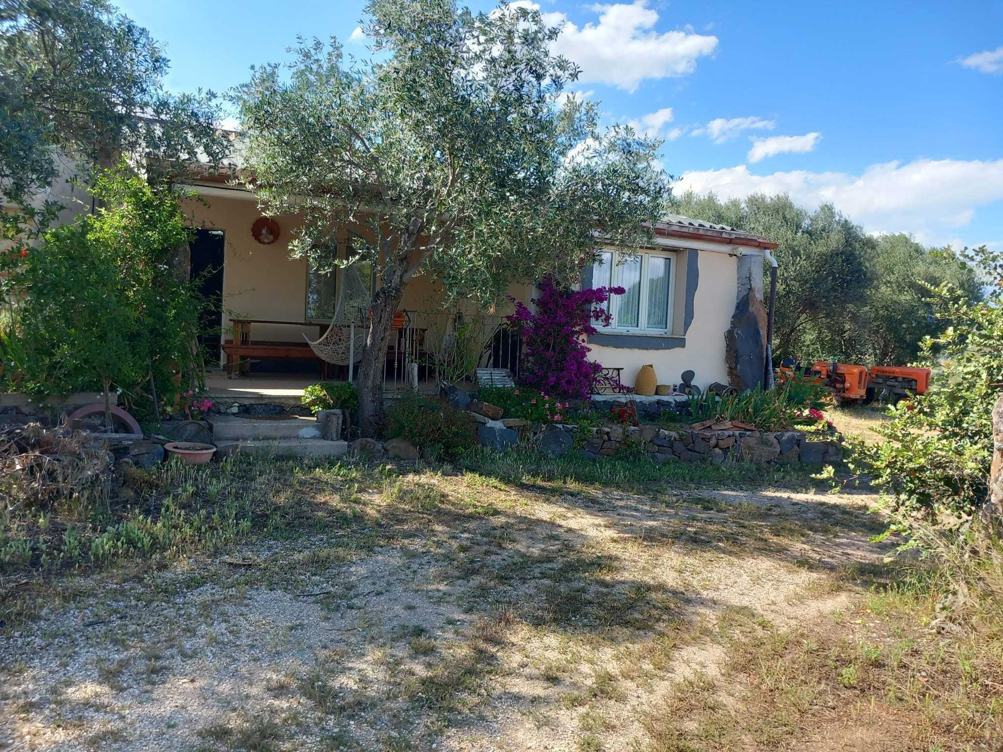 Cosy little country house in Dorgali
