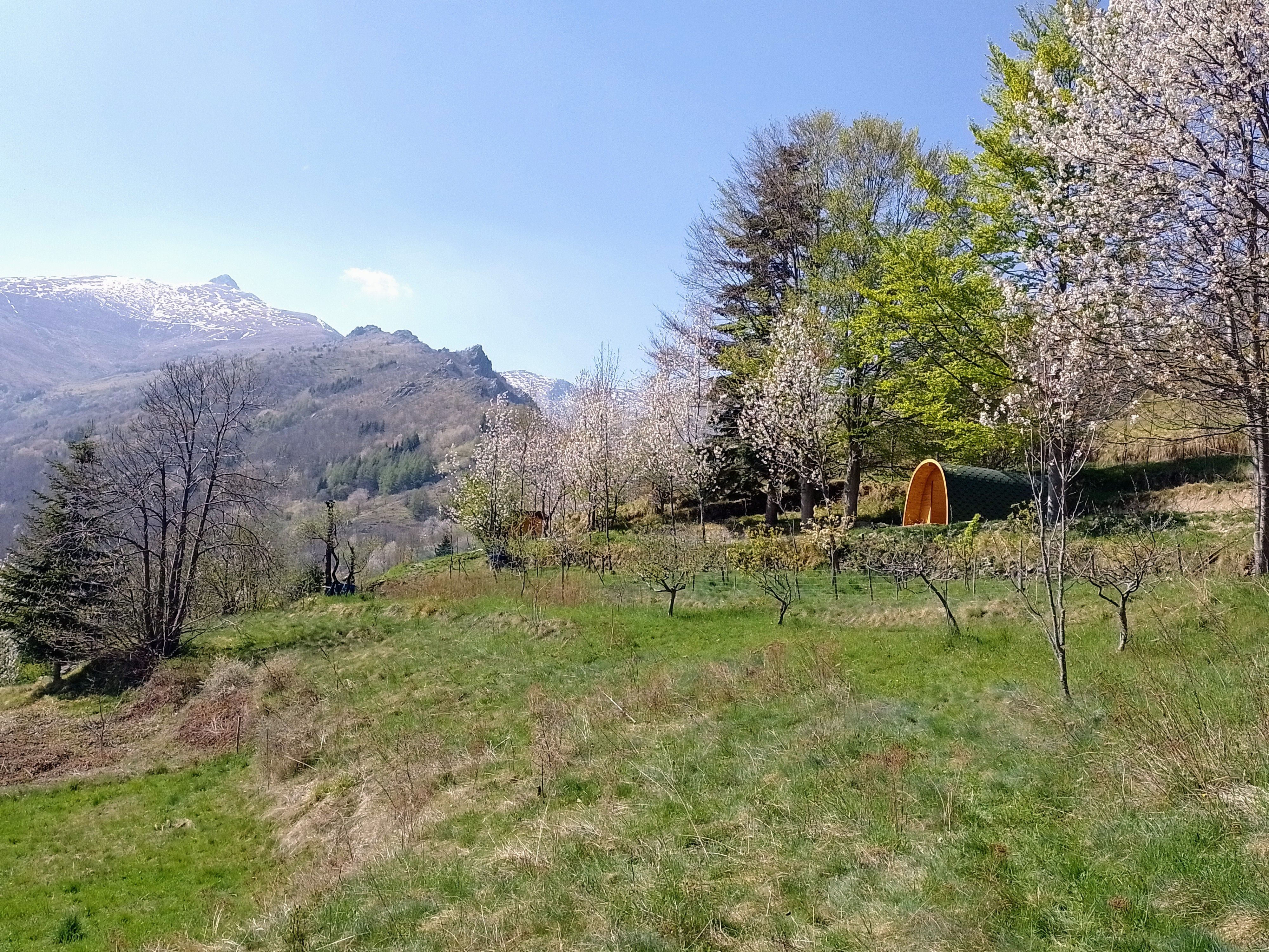 Piazzole tenda nella natura dell'Alta Val Tanaro, sulle Alpi Liguri