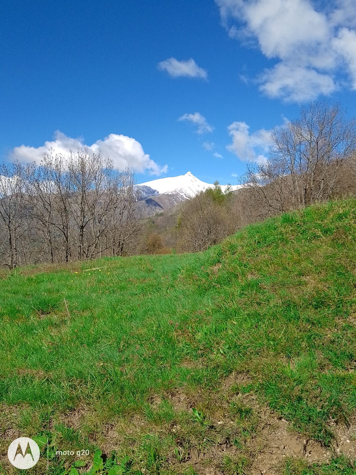 Piazzole tenda nella natura dell'Alta Val Tanaro, sulle Alpi Liguri