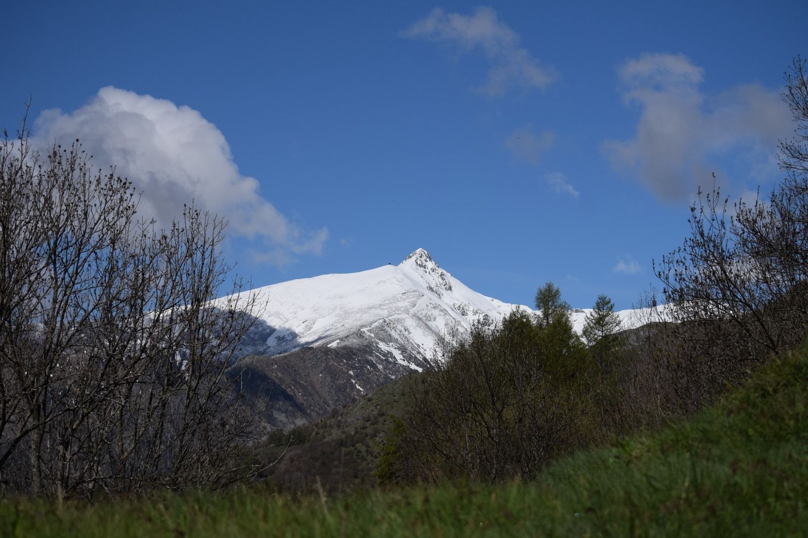 Piazzole tenda nella natura dell'Alta Val Tanaro, sulle Alpi Liguri