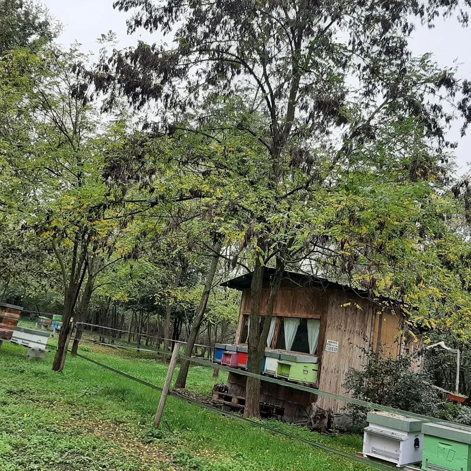 Camping allo chalet delle Api