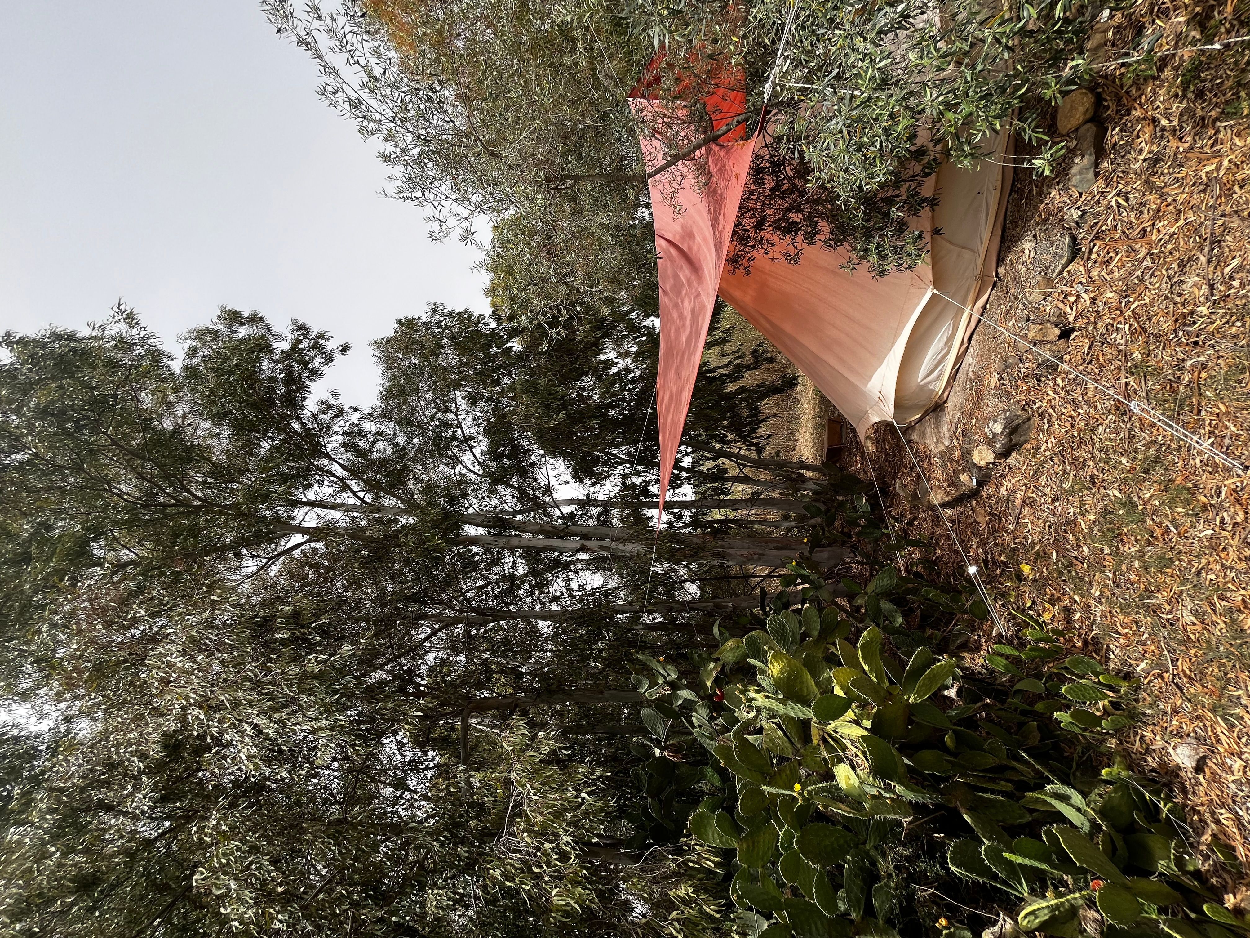 In Sardegna, una Tenda glamping tra gli eucalipto