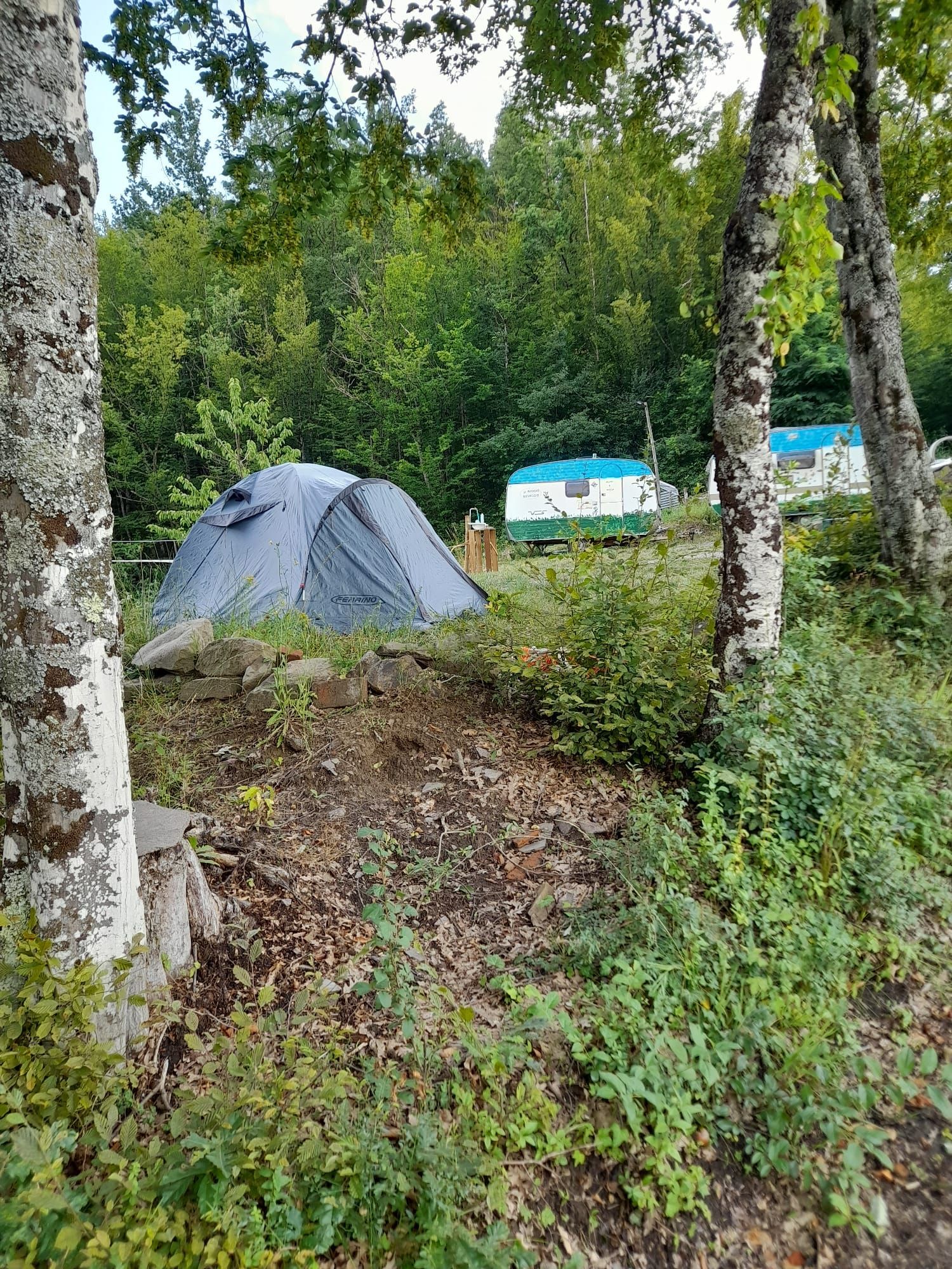 Roulotte attrezzata nella natura incontaminata dell'Appennino parmense