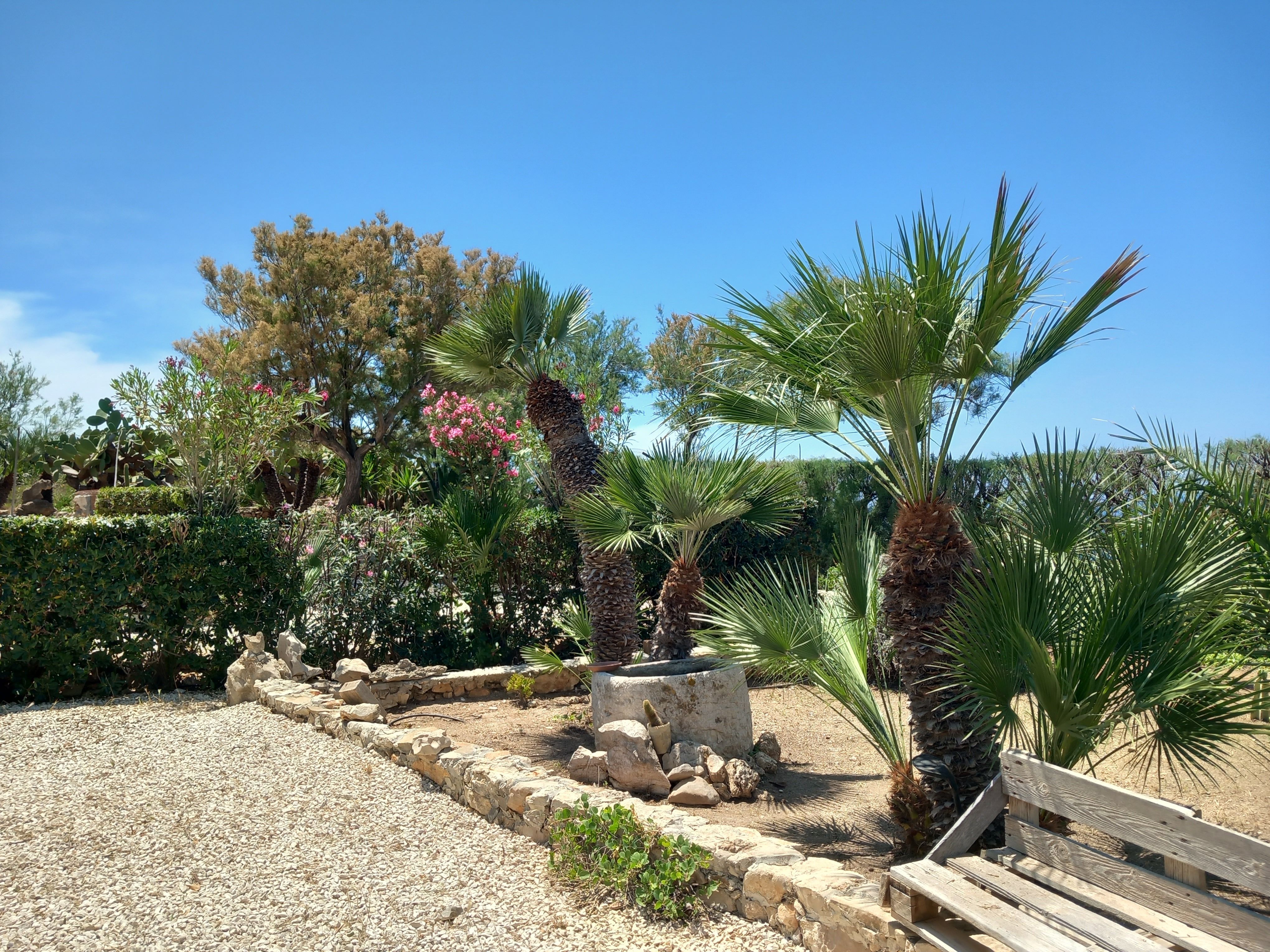 Giardino sul mare