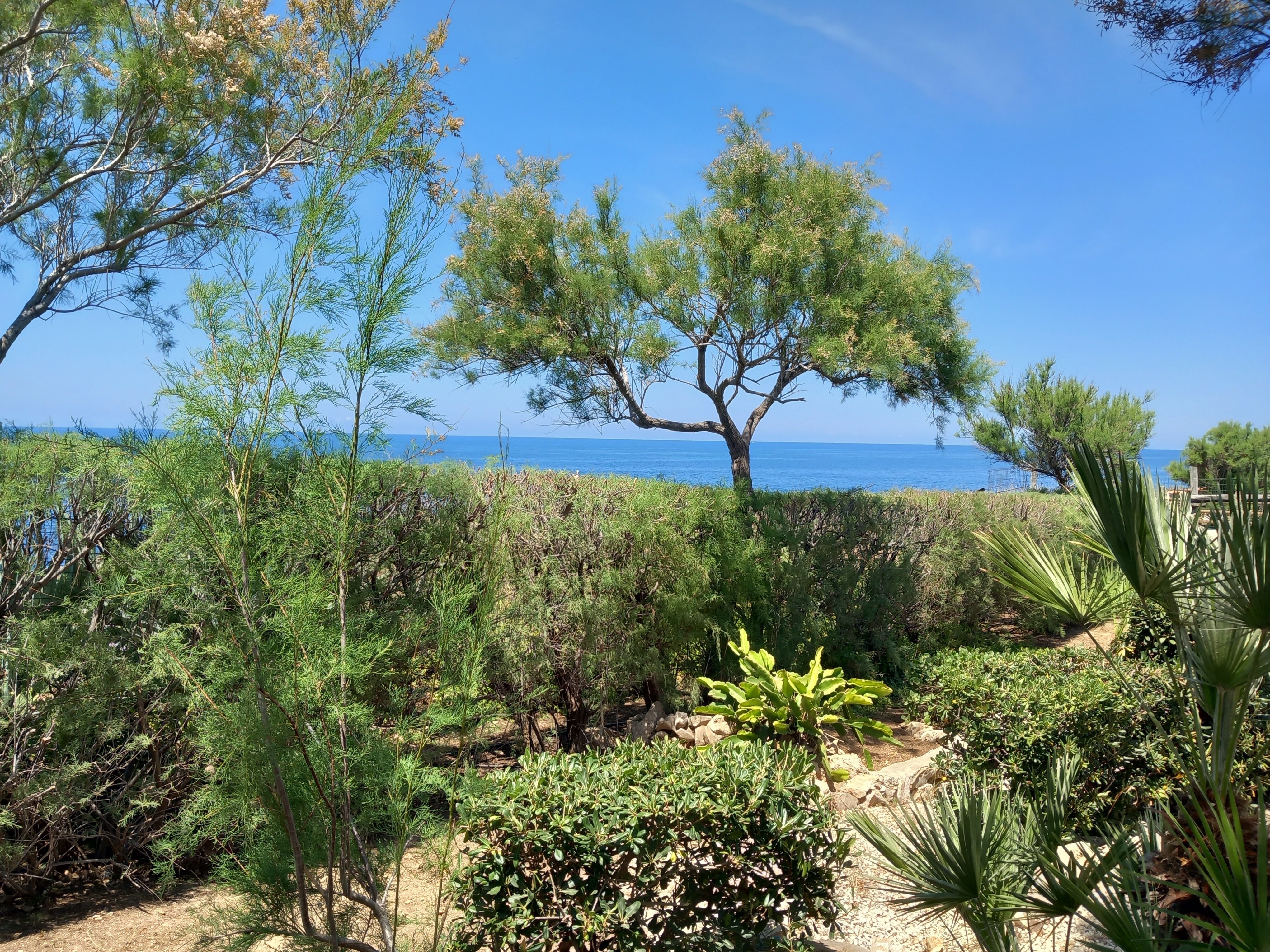 Giardino sul mare