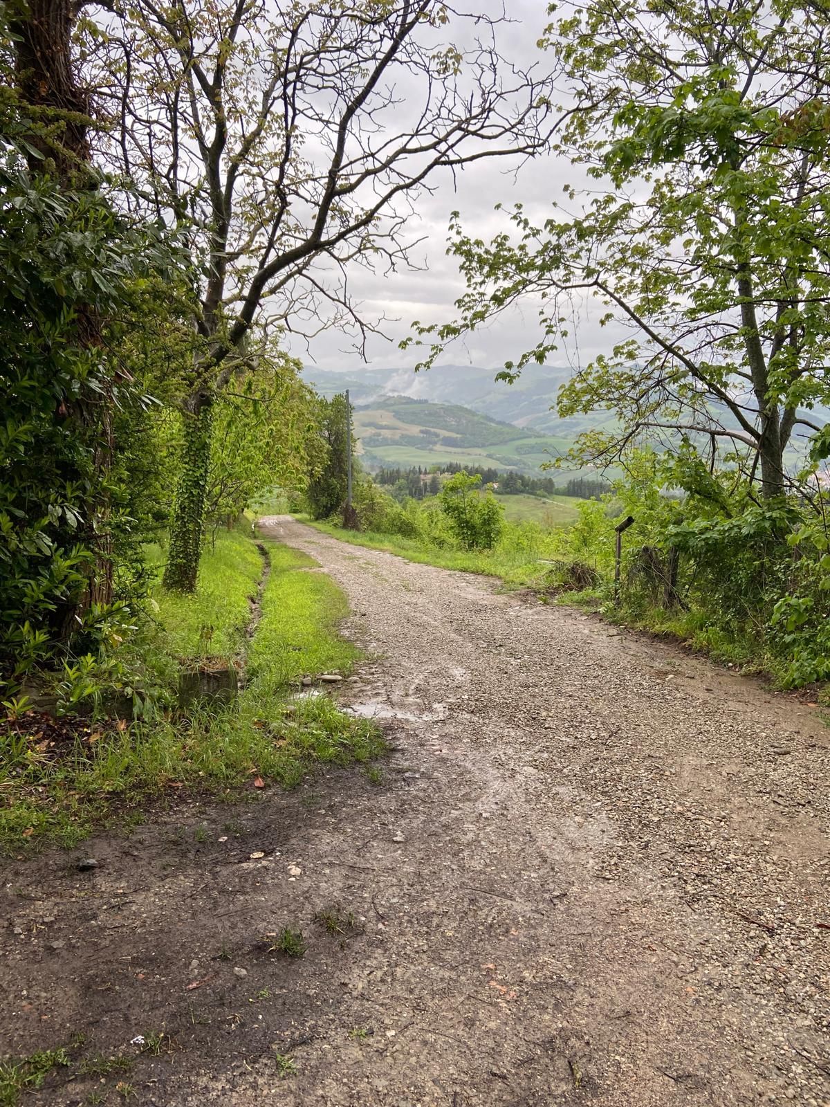 Tenda montata per 2 persone nel bosco in Romagna