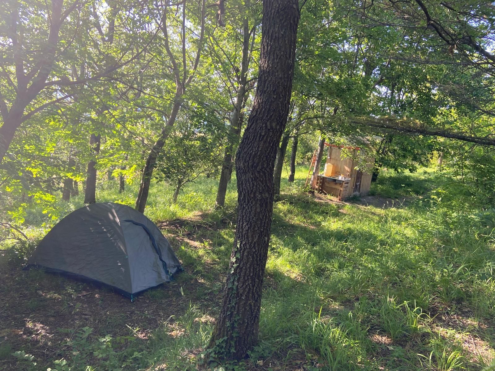 Tenda montata per 2 persone nel bosco in Romagna