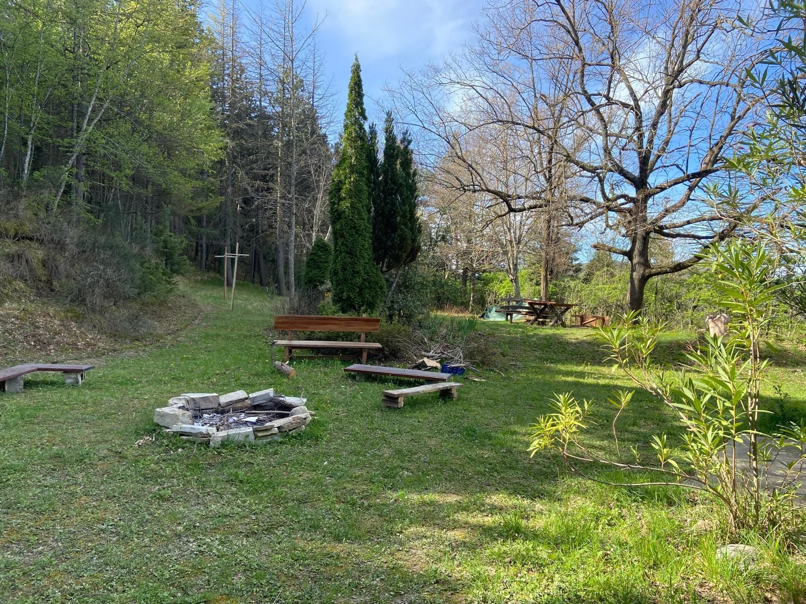 Tenda montata per 2 persone nel bosco in Romagna