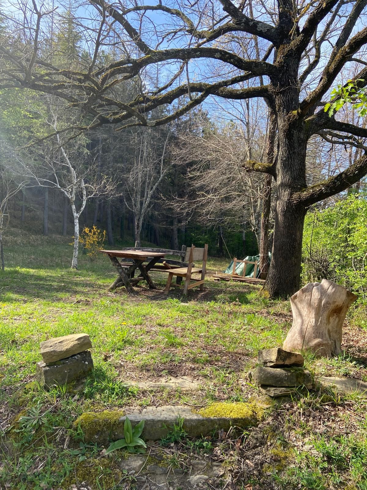 Tenda montata per 2 persone nel bosco in Romagna