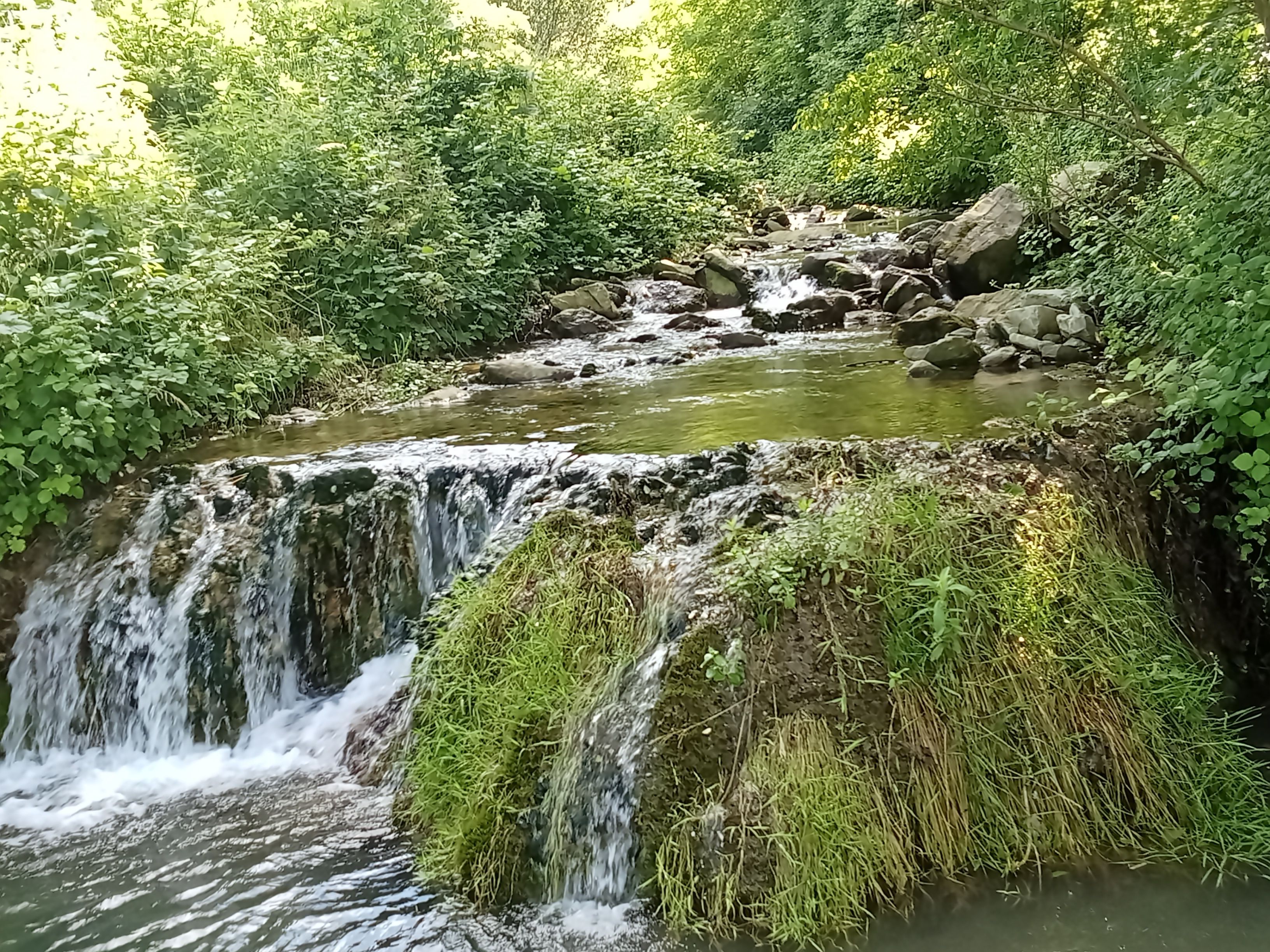 Piccolo Spazio Genuinità