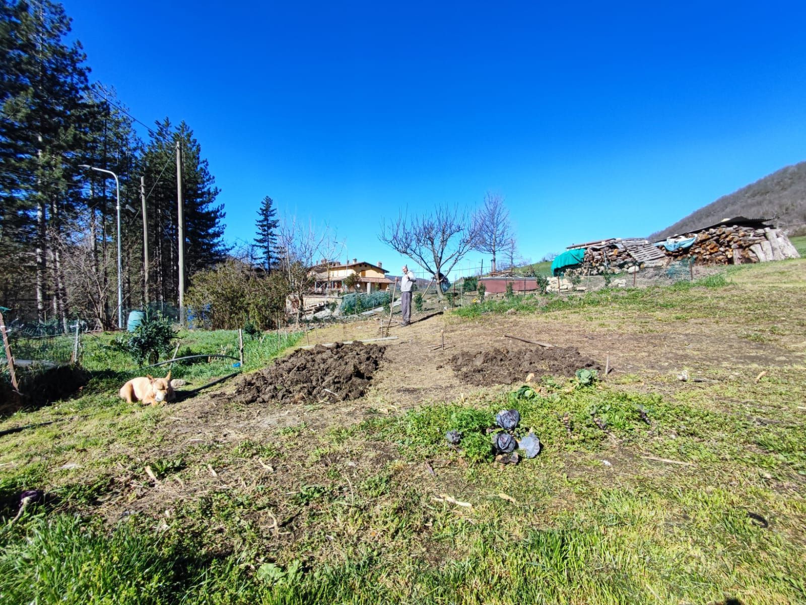 Piccolo Spazio Genuinità