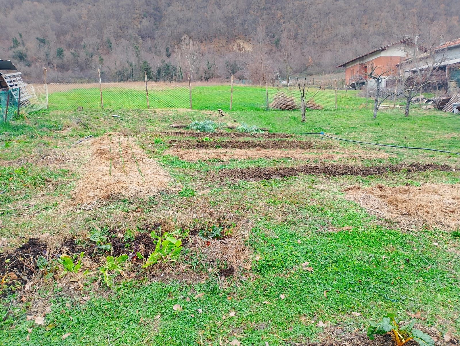 Piccolo Spazio Genuinità