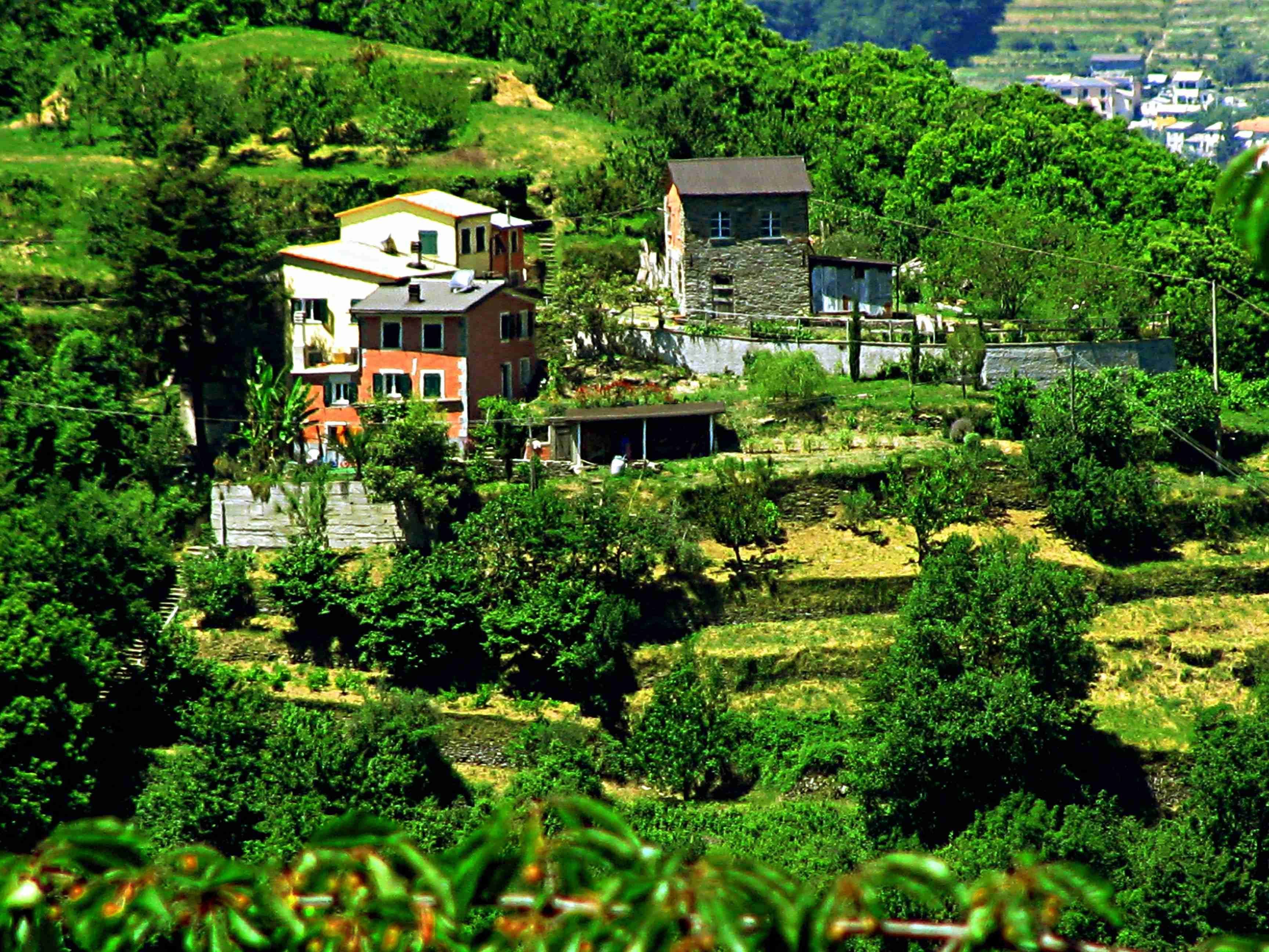 Pulmino Hippie in Liguria